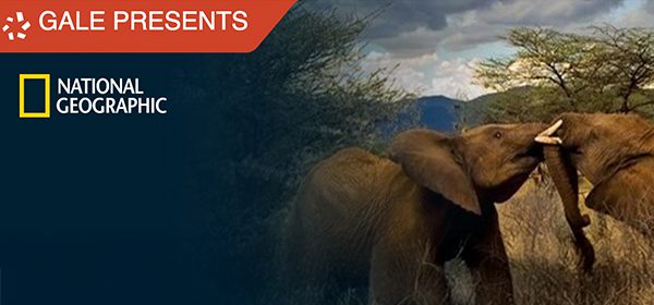 gale national geographic banner