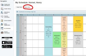 How to view my 2nd semester courses