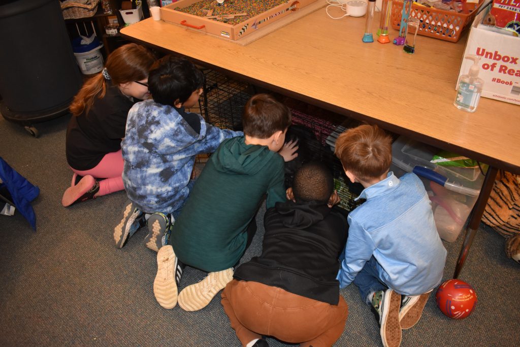 Students gathered together looking at a pet