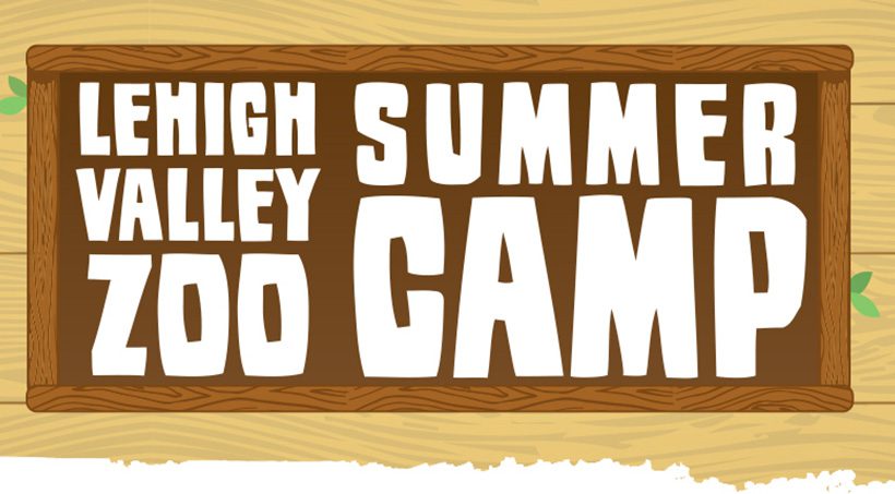 Wooden sign style graphic with white text reading 'Lehigh Valley Zoo Summer Camp' on a wood texture background.