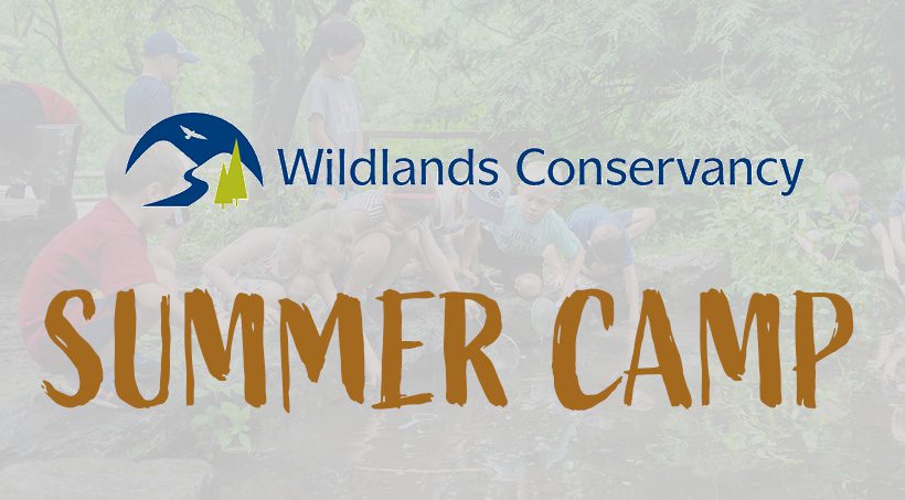 Banner image for the Wildlands Conservancy Summer Camp.